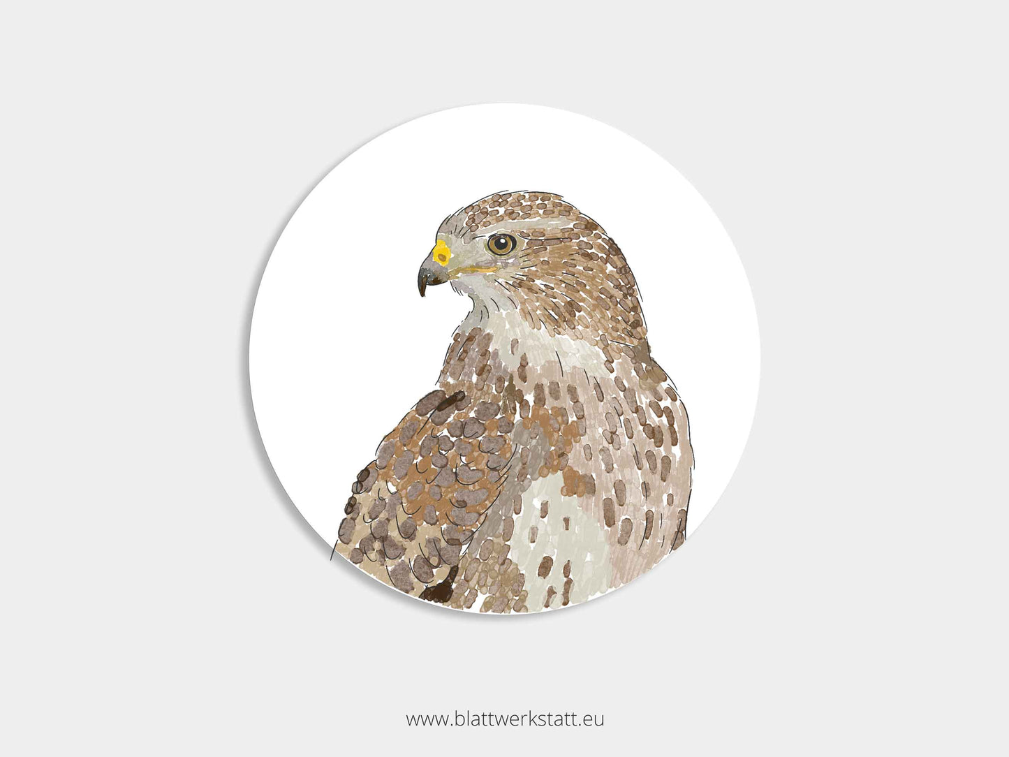 Aufkleber-Set "Greifvögel"