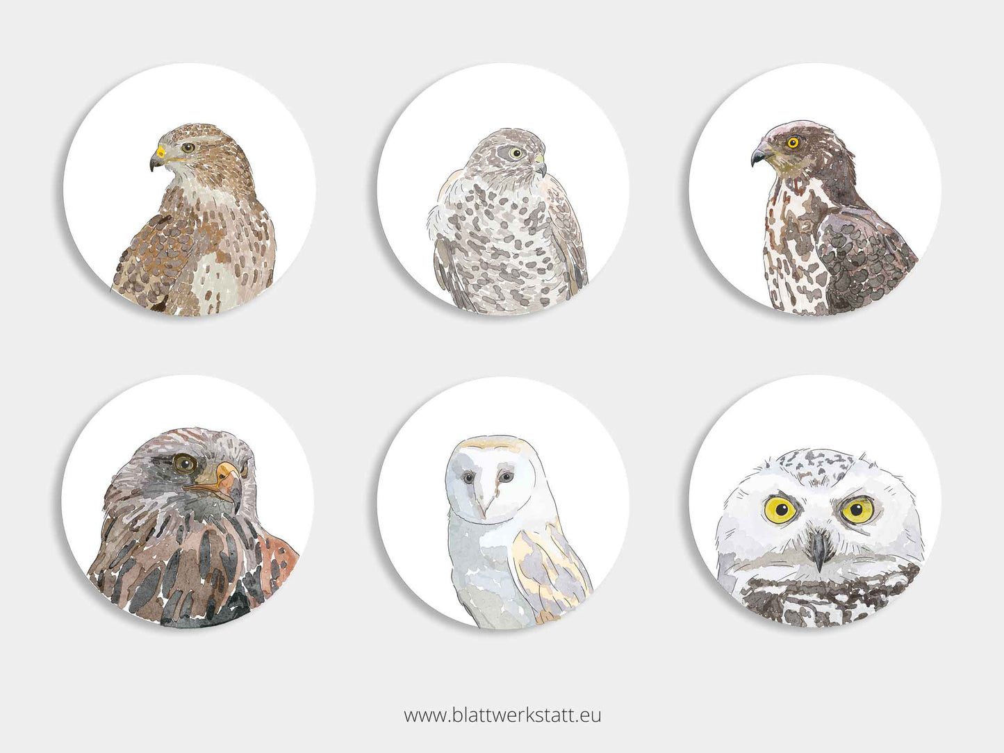 Aufkleber-Set "Greifvögel"