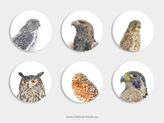Aufkleber-Set "Greifvögel"