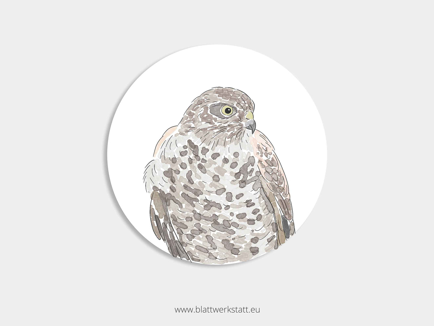 Aufkleber-Set "Greifvögel"