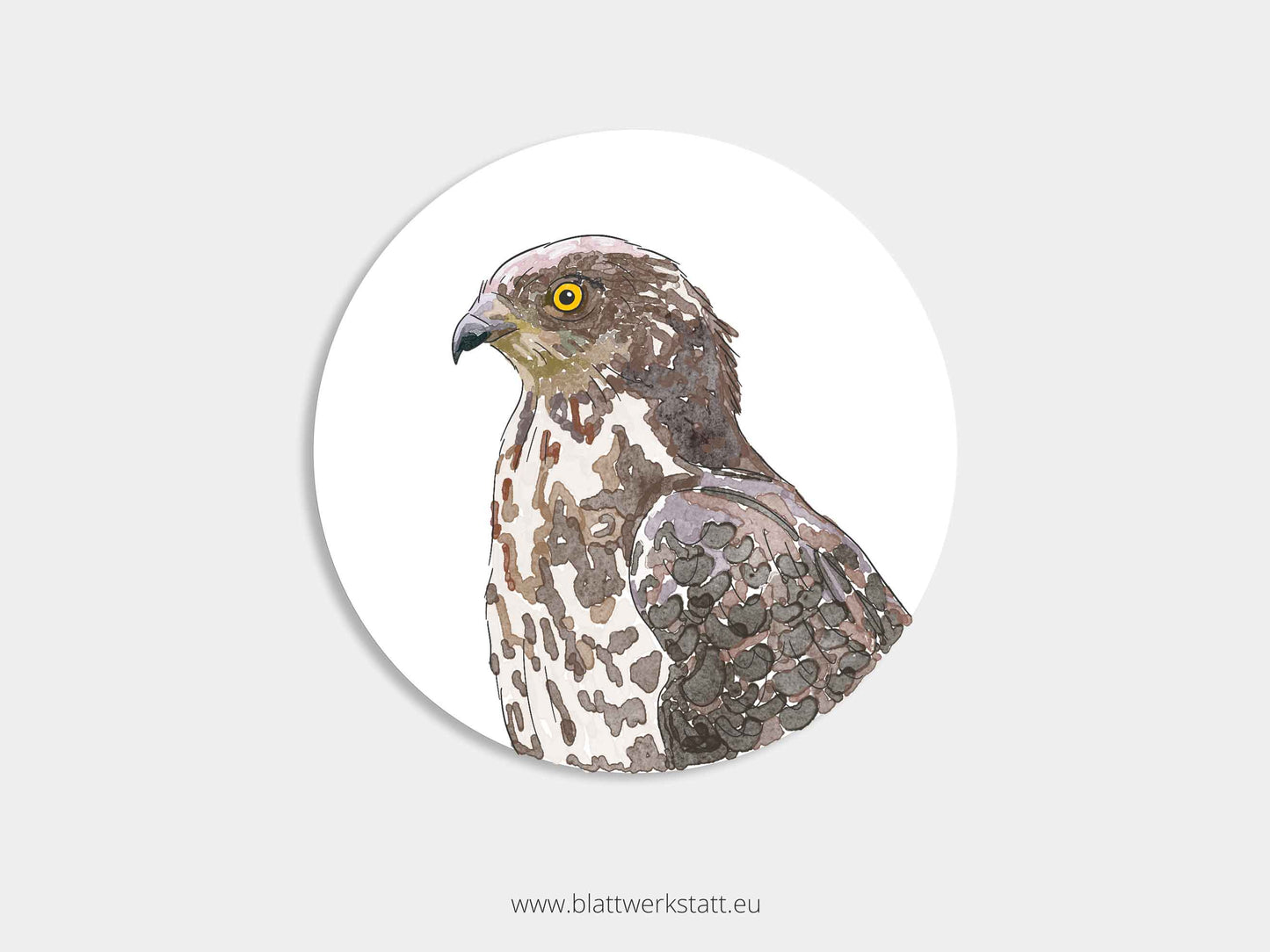 Aufkleber-Set "Greifvögel"