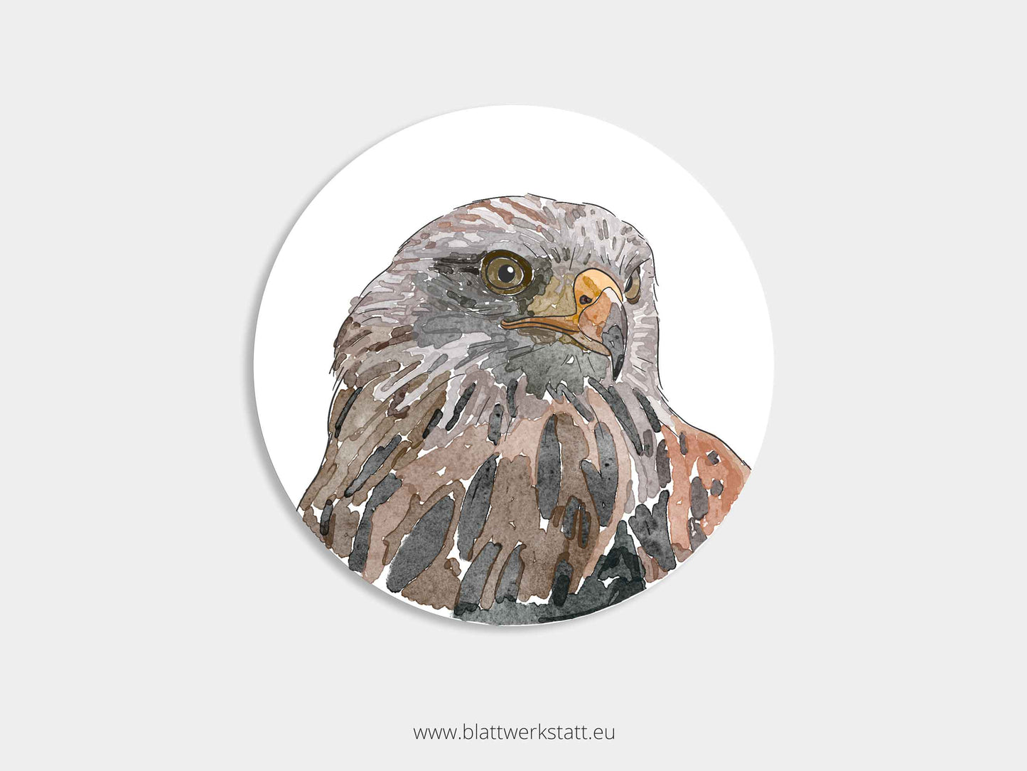Aufkleber-Set "Greifvögel"