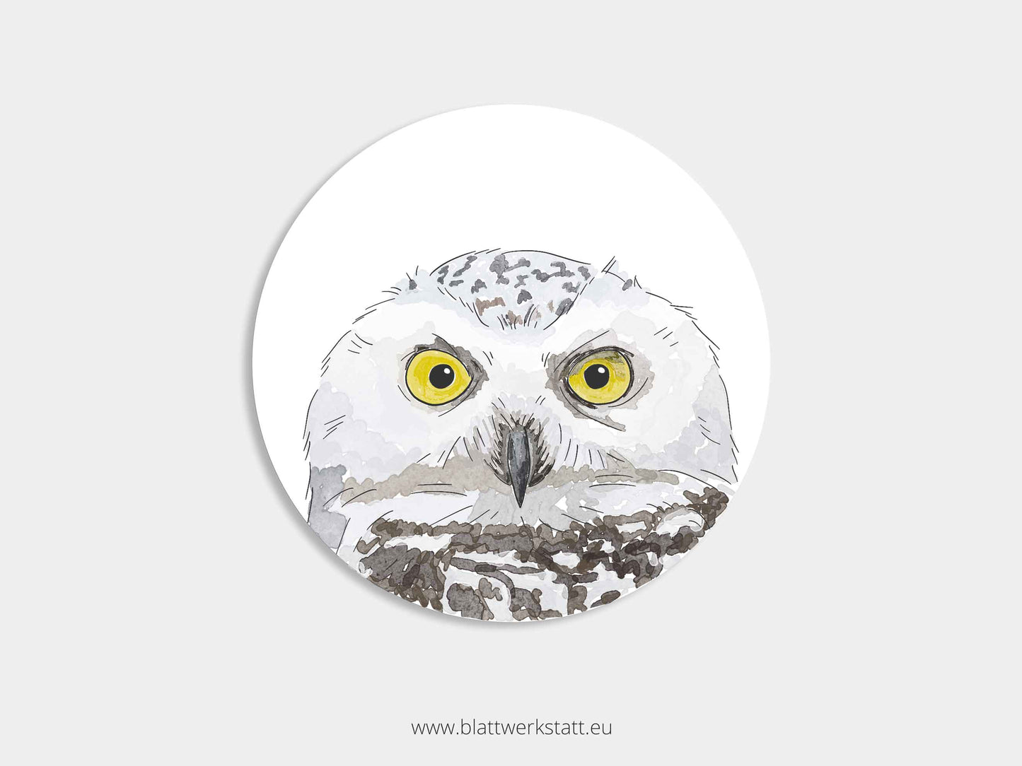 Aufkleber-Set "Greifvögel"