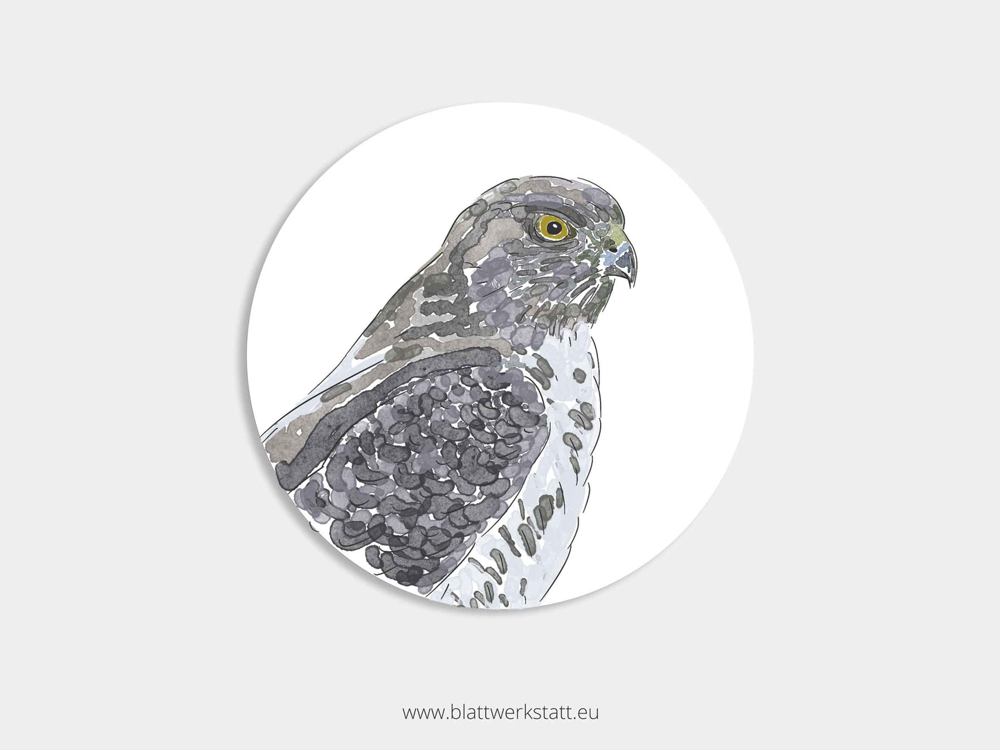 Aufkleber-Set "Greifvögel"