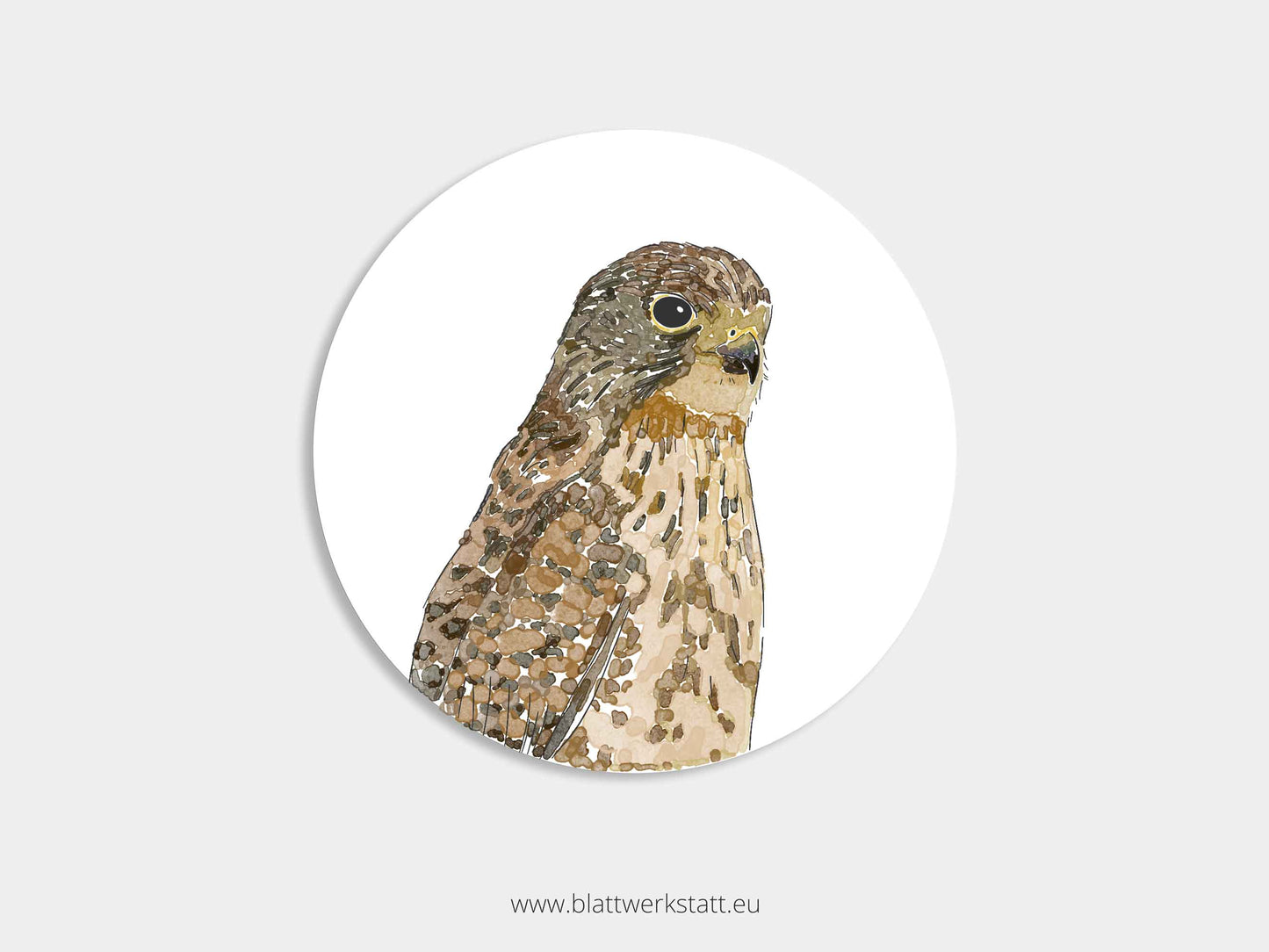 Aufkleber-Set "Greifvögel"