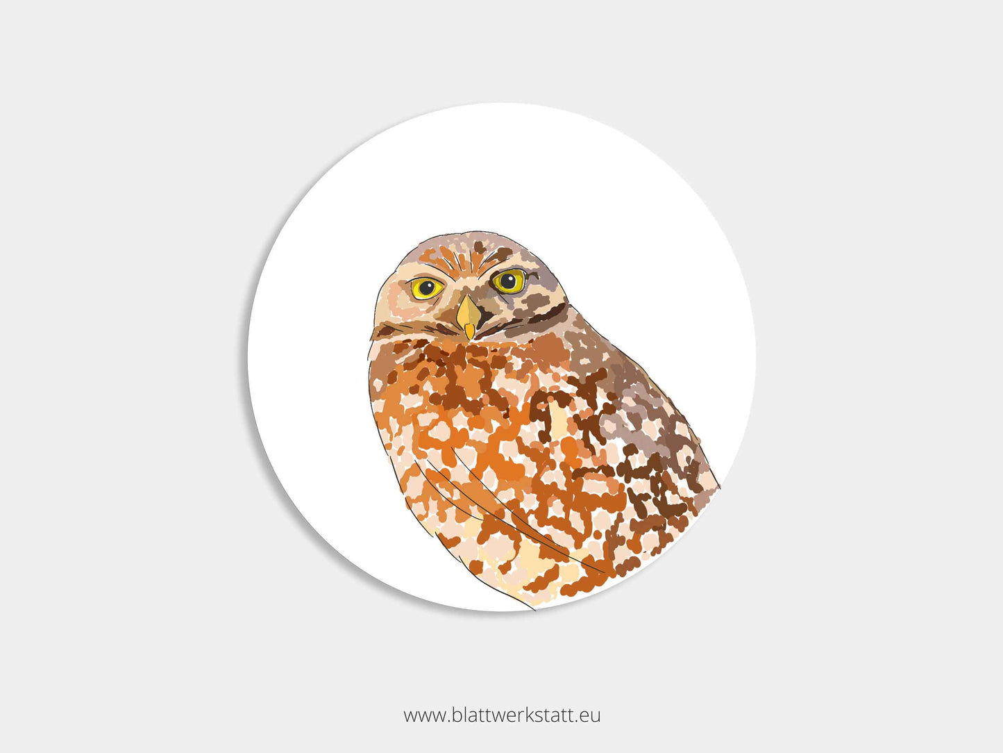 Aufkleber-Set "Greifvögel"