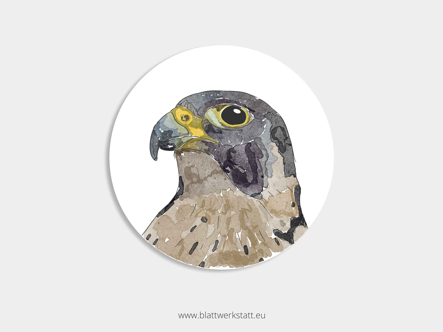 Aufkleber-Set "Greifvögel"