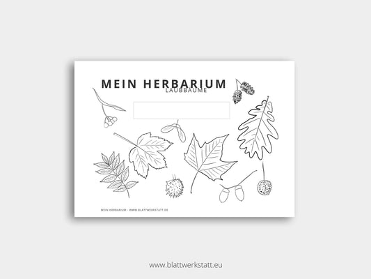 Herbarium "Laubbäume"
