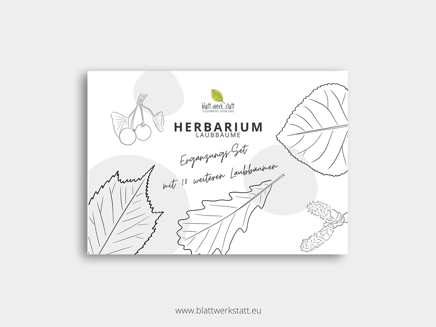 Herbarium "Laubbäume" - Ergänzungs-Set (pdf zum Aussdrucken)