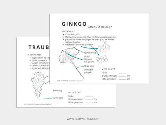 Herbarium "Laubbäume" - Ergänzungs-Set (pdf zum Aussdrucken)