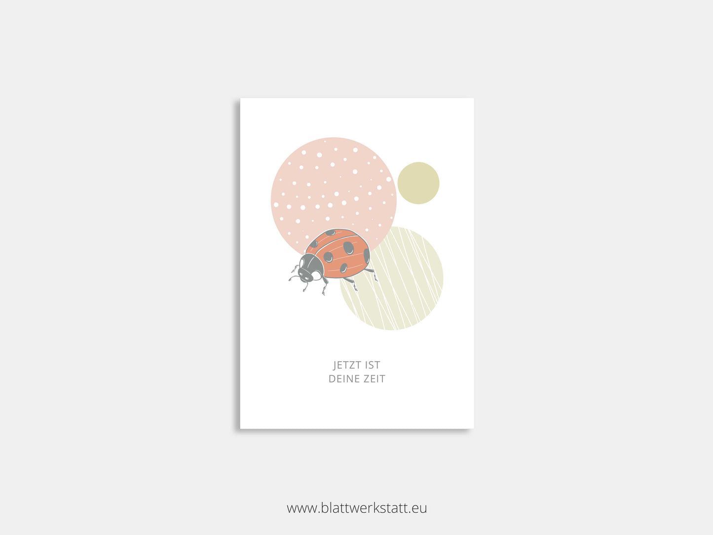 Postkarte "Marienkäfer"