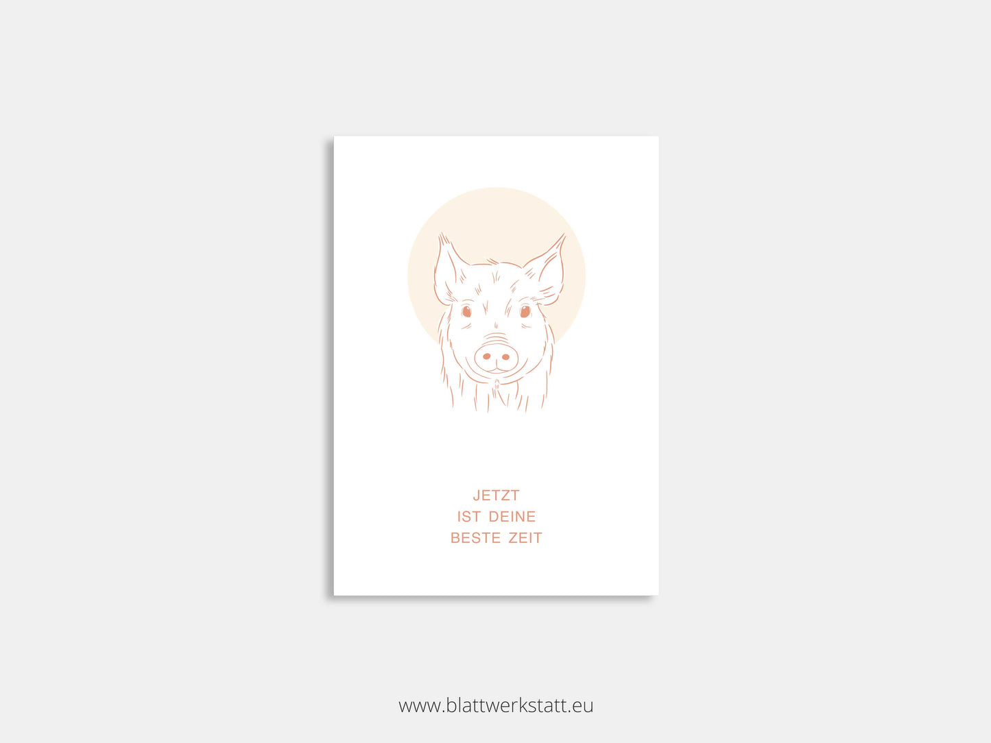 Postkarte "Ferkel"