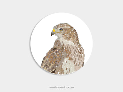 Aufkleber-Set "Greifvögel"
