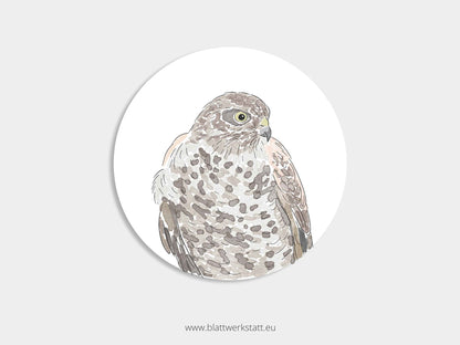 Aufkleber-Set "Greifvögel"