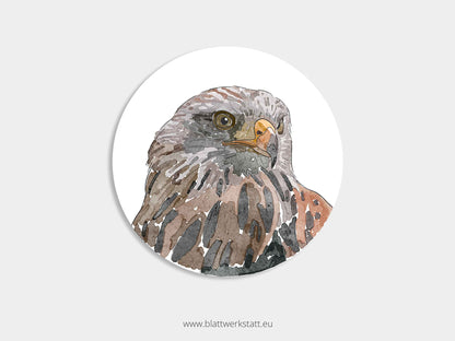 Aufkleber-Set "Greifvögel"