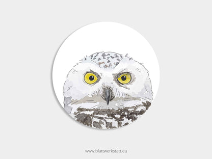 Aufkleber-Set "Greifvögel"