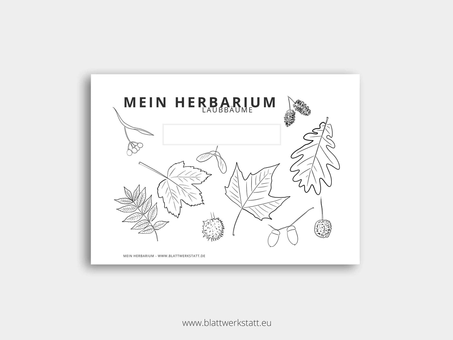 Herbarium "Laubbäume"