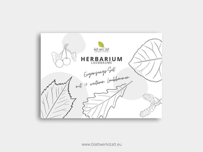 Herbarium "Laubbäume" - Ergänzungs-Set (pdf zum Aussdrucken)