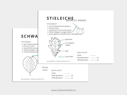 Herbarium "Laubbäume"