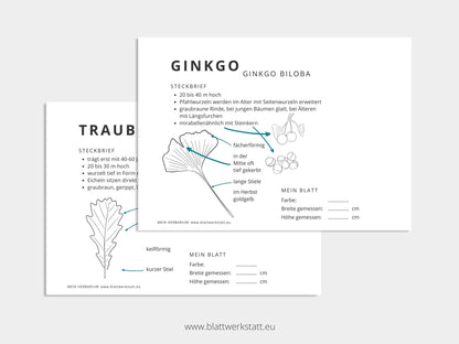Herbarium "Laubbäume" - Ergänzungs-Set (pdf zum Aussdrucken)