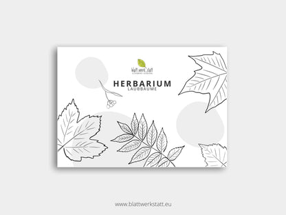 Herbarium "Laubbäume"