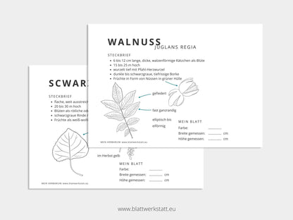 Herbarium "Laubbäume" - Ergänzungs-Set (pdf zum Aussdrucken)