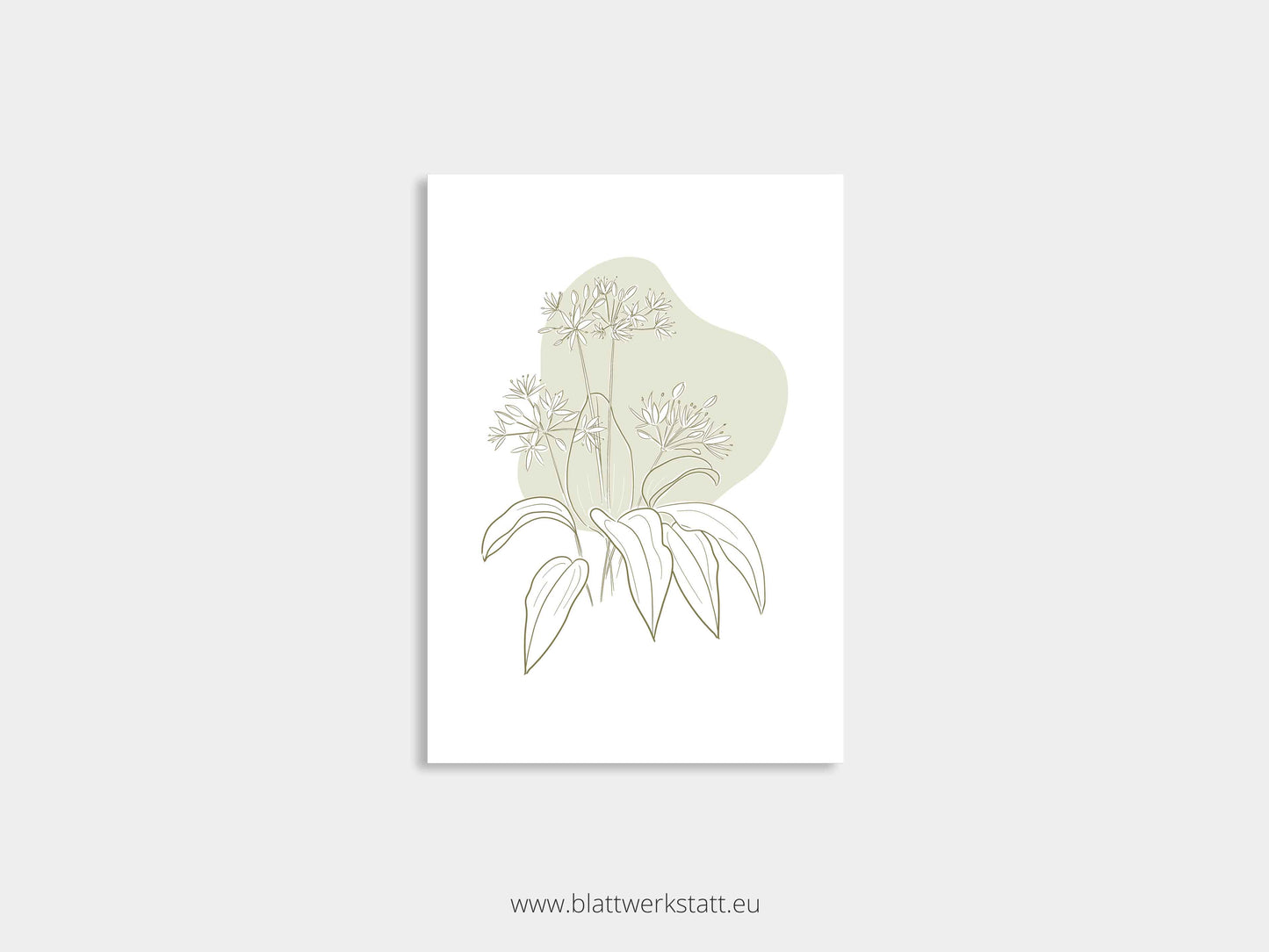 Postkarte "Bärlauch"